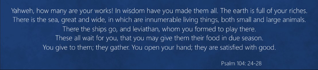 Psalm 104: 24-28